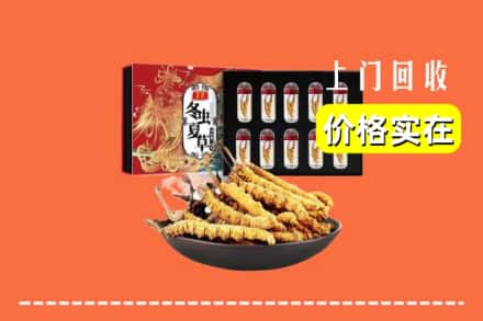 中山南朗镇回收冬虫夏草