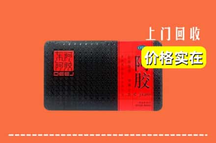 中山南朗镇回收阿胶