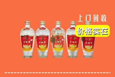 中山南朗镇回收老五粮液